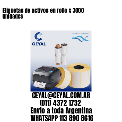 Etiquetas de activos en rollo x 3000 unidades