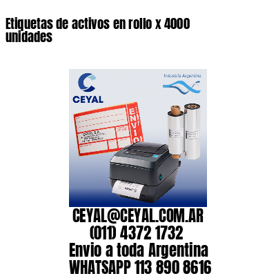 Etiquetas de activos en rollo x 4000 unidades