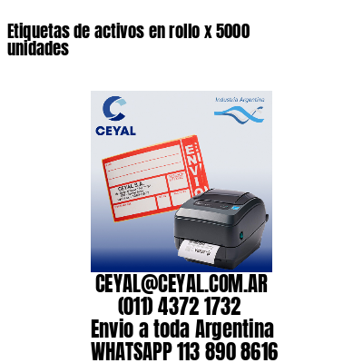 Etiquetas de activos en rollo x 5000 unidades