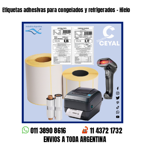 Etiquetas adhesivas para congelados y refrigerados - Hielo