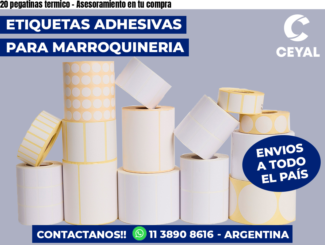 20 pegatinas termico – Asesoramiento en tu compra