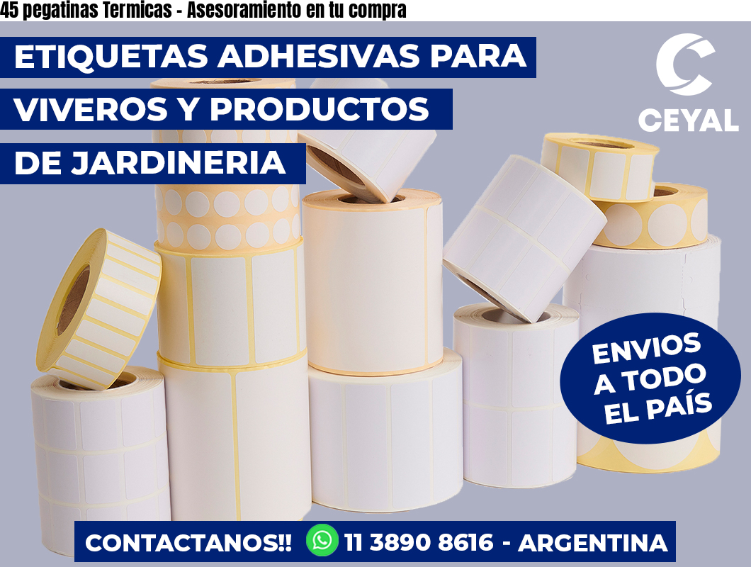 45 pegatinas Termicas - Asesoramiento en tu compra