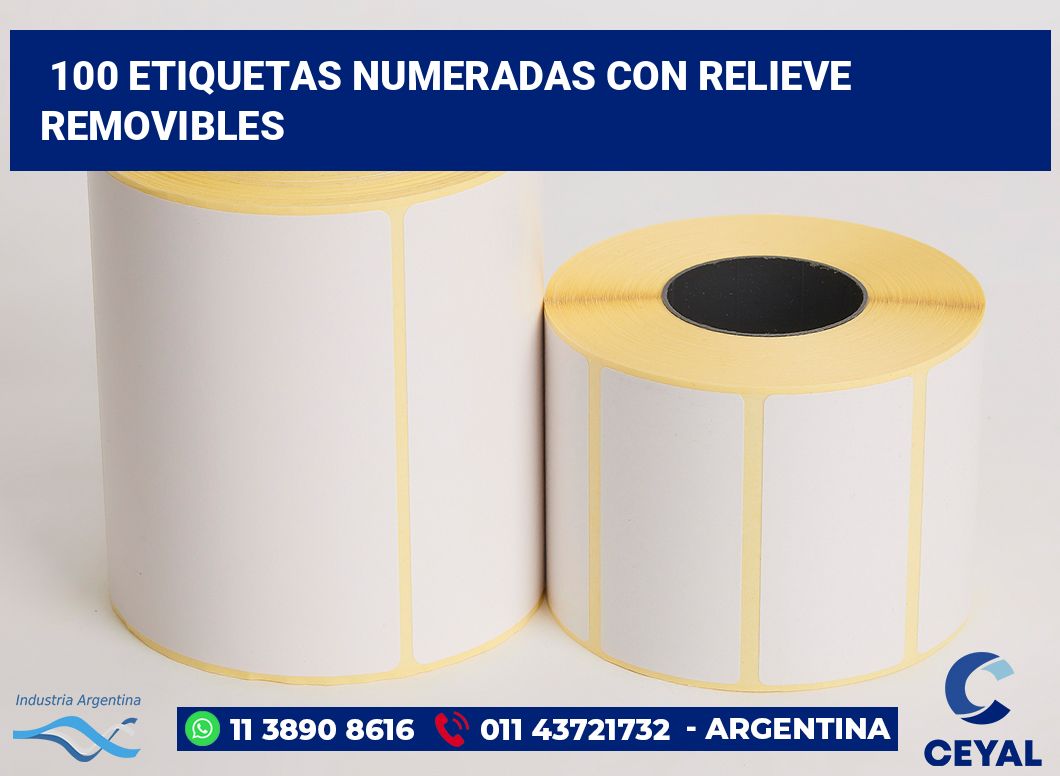 100 Etiquetas numeradas con relieve removibles