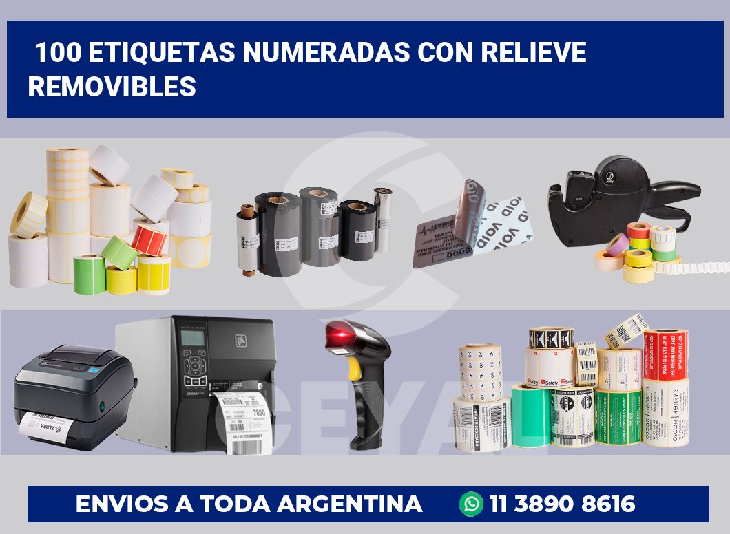 100 Etiquetas numeradas con relieve removibles