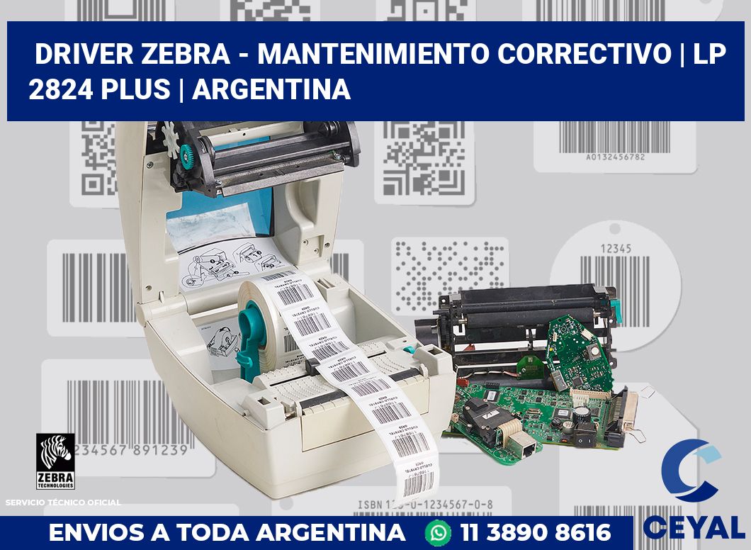 Driver Zebra - mantenimiento correctivo | LP 2824 Plus | Argentina