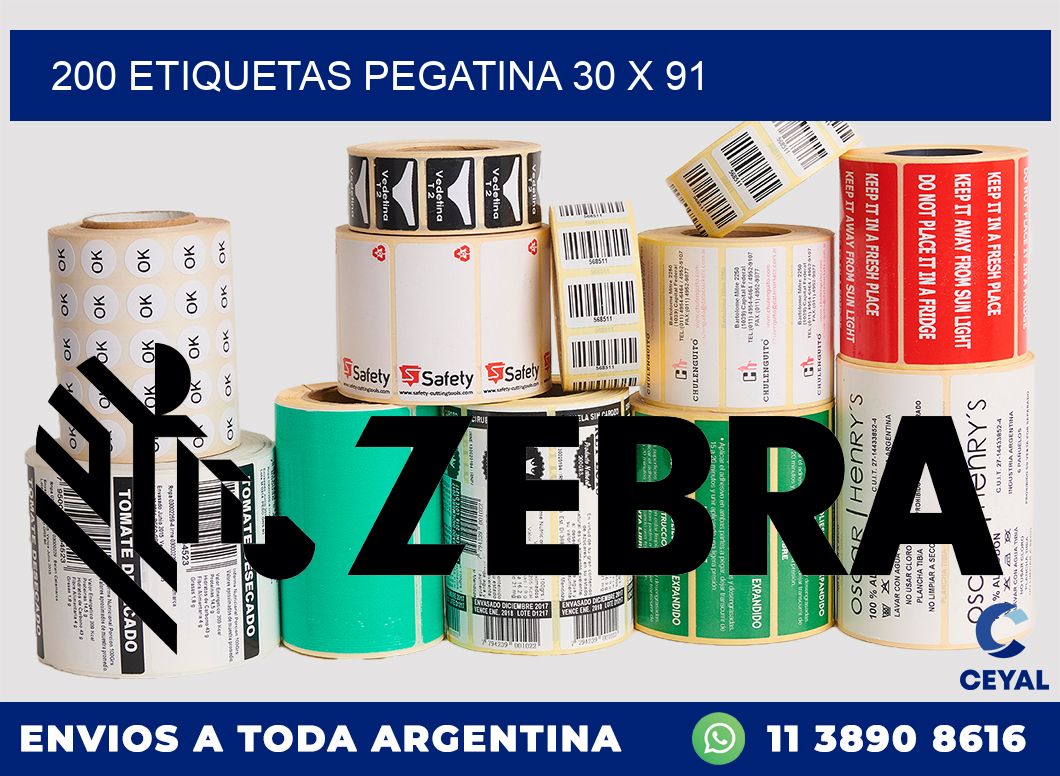 200 ETIQUETAS PEGATINA 30 x 91