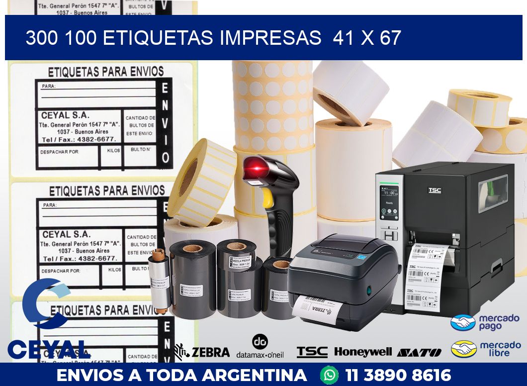 300 100 ETIQUETAS IMPRESAS  41 x 67