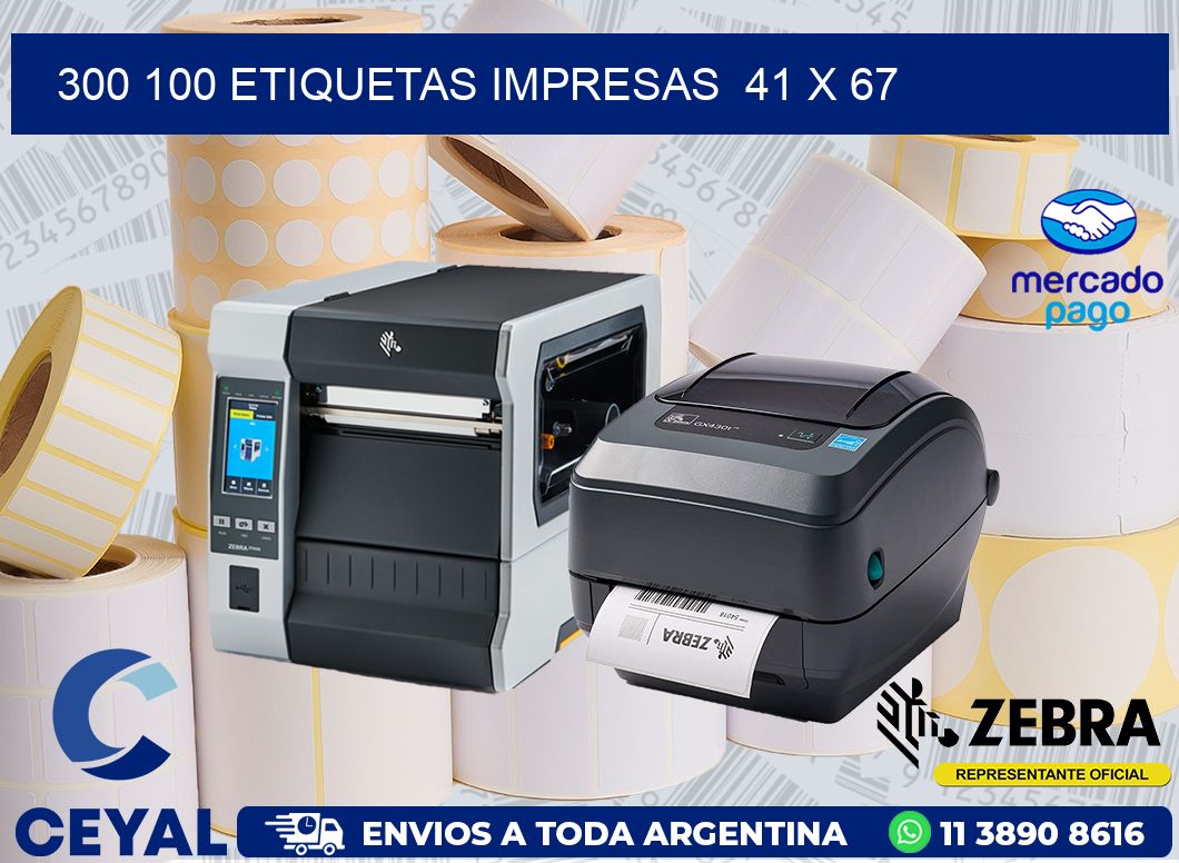 300 100 ETIQUETAS IMPRESAS  41 x 67