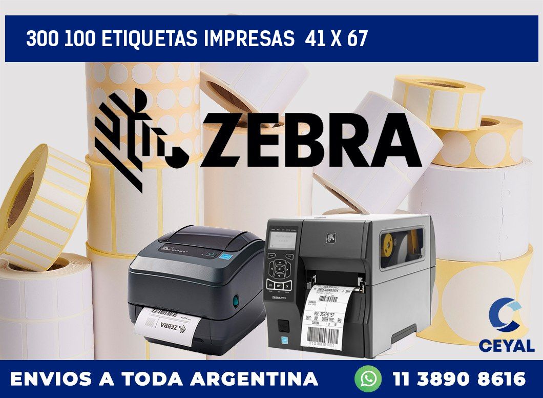 300 100 ETIQUETAS IMPRESAS  41 x 67