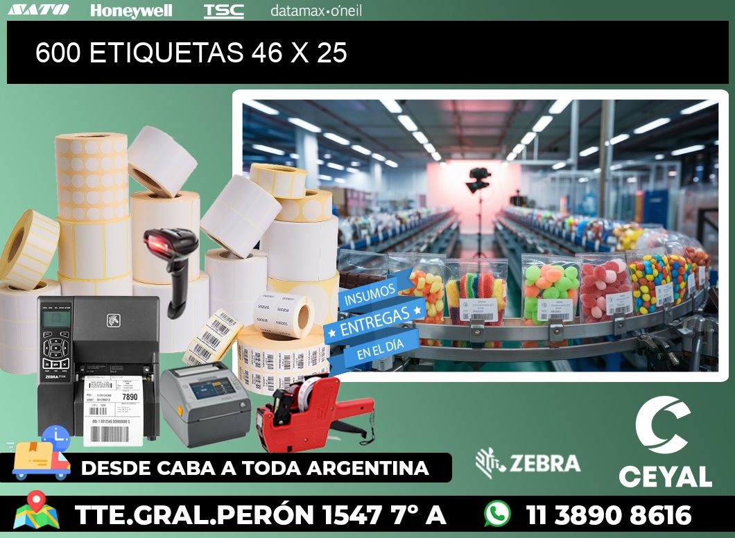 600 ETIQUETAS 46 x 25