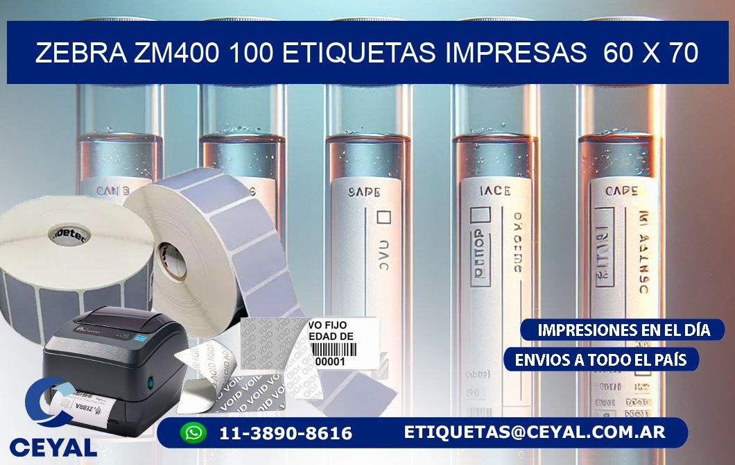 ZEBRA ZM400 100 ETIQUETAS IMPRESAS  60 x 70