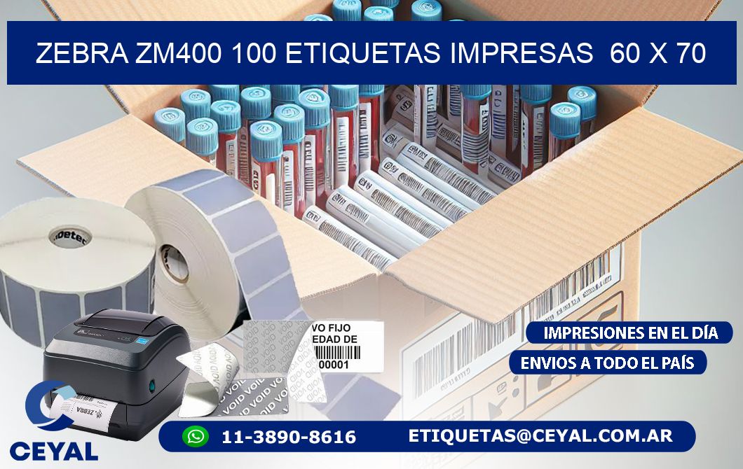 ZEBRA ZM400 100 ETIQUETAS IMPRESAS  60 x 70