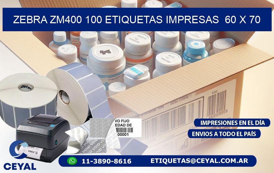 ZEBRA ZM400 100 ETIQUETAS IMPRESAS  60 x 70