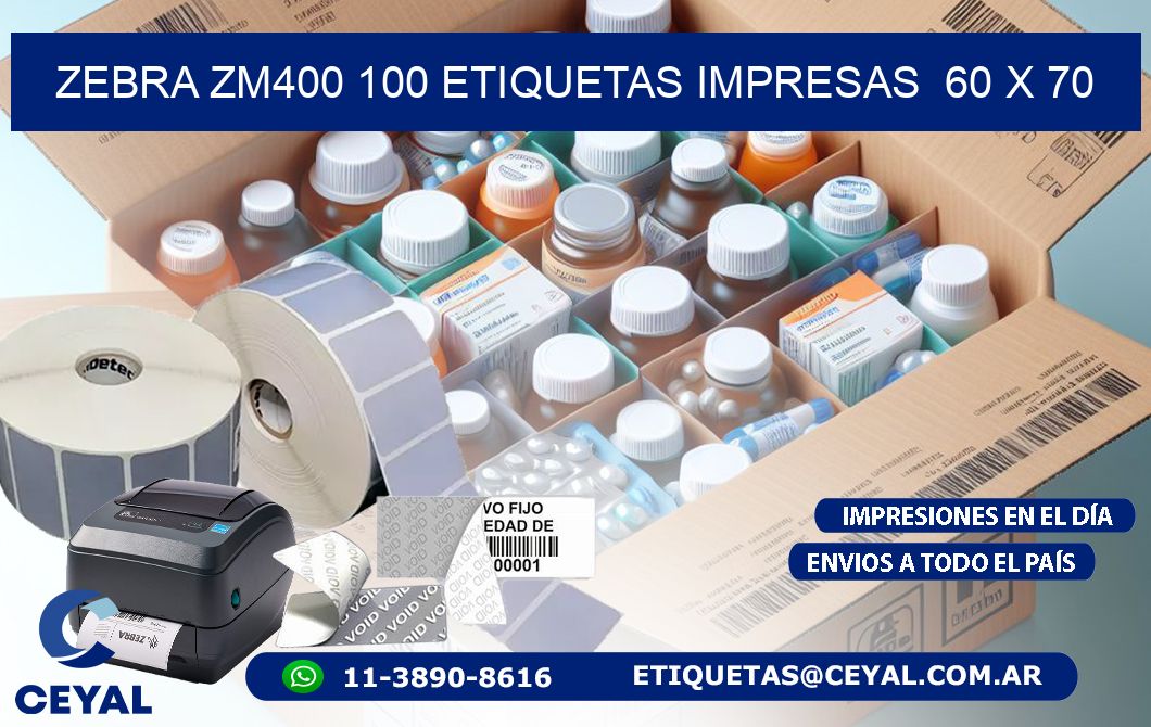 ZEBRA ZM400 100 ETIQUETAS IMPRESAS  60 x 70