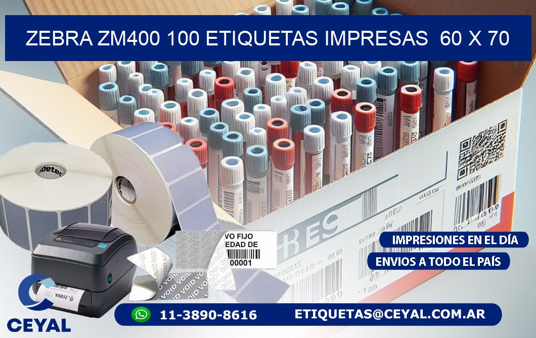 ZEBRA ZM400 100 ETIQUETAS IMPRESAS  60 x 70