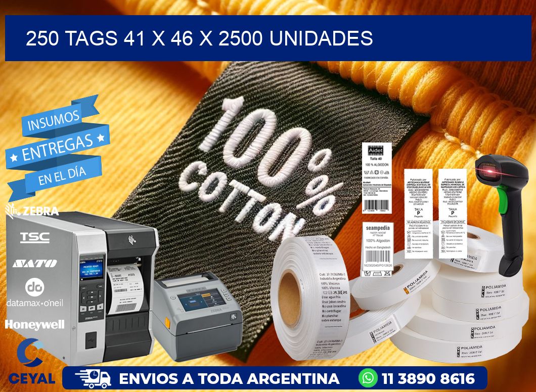 250 TAGS 41 x 46 X 2500 UNIDADES