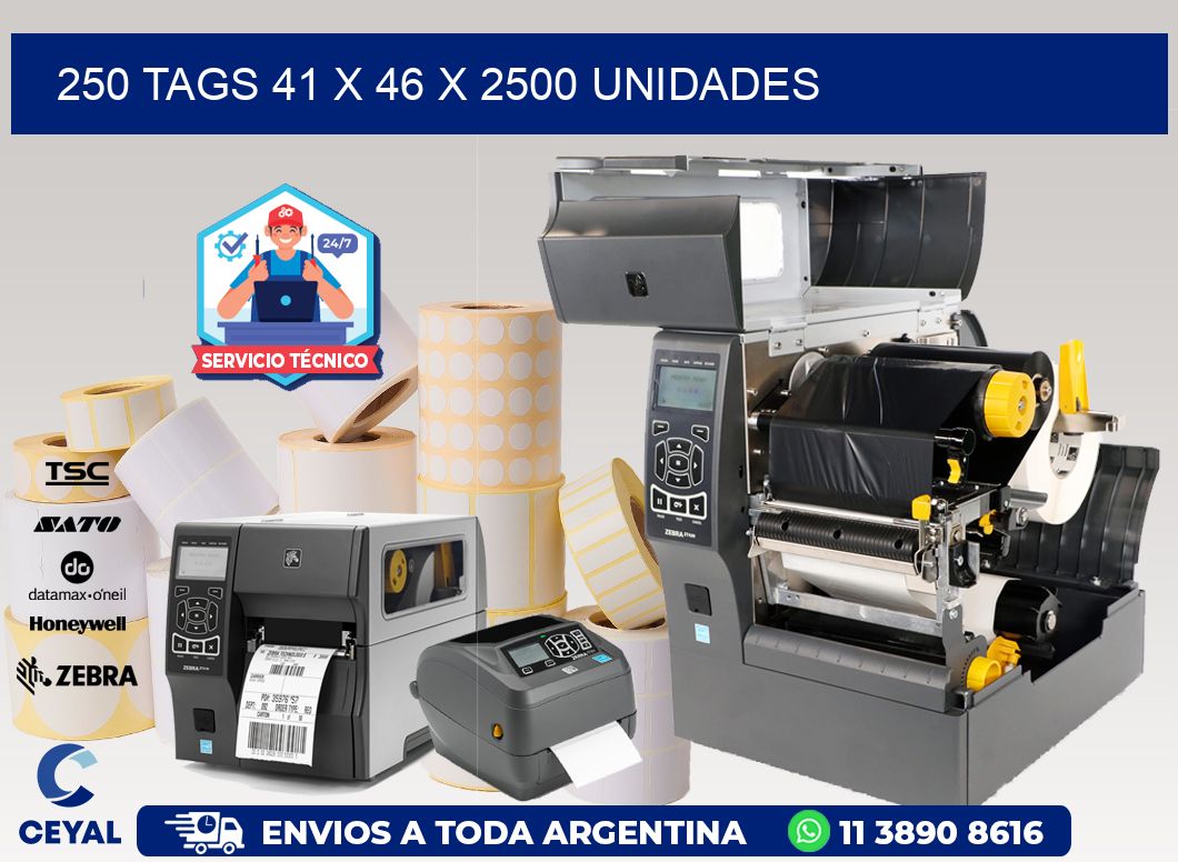 250 TAGS 41 x 46 X 2500 UNIDADES