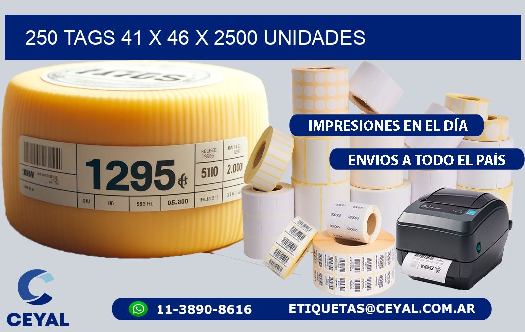 250 TAGS 41 x 46 X 2500 UNIDADES